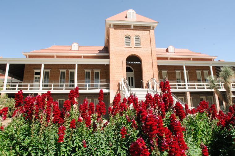 UArizona Old Main building behind tall dark red flowers