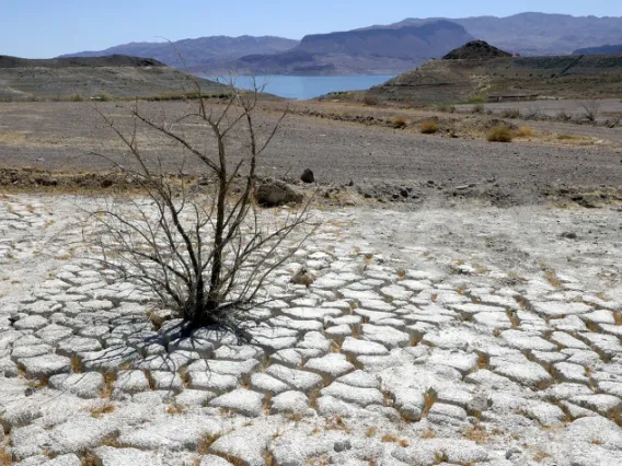 Lake Mead