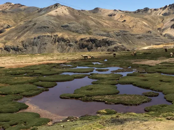 Ayacucho, Peru, mountains with water