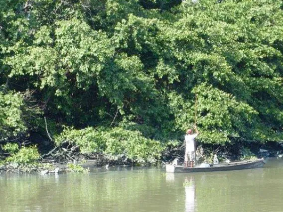 brazil river