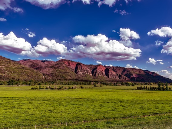 blue sky with white fluffy clouds and mountains in the background with grasslands in the foreground