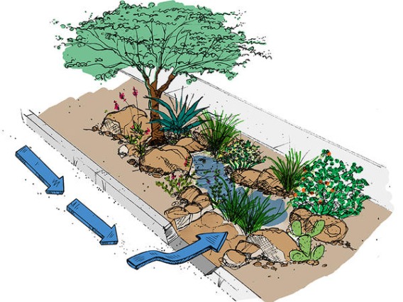 An illustration of green stormwater infrastructure collecting rainwater into a basin.