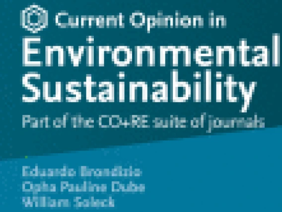 Environmental Sustainability cover