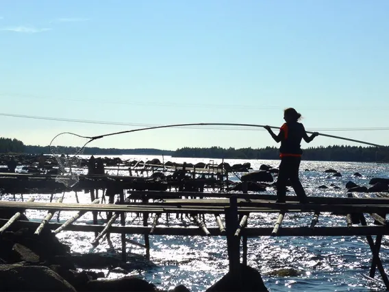 Mary Beth Jager tries her hand at dip net fishing in Tornio, Finland.