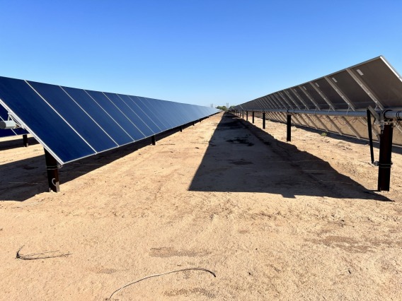 Two rows of solar panels shade the ground in airy, dusty field.