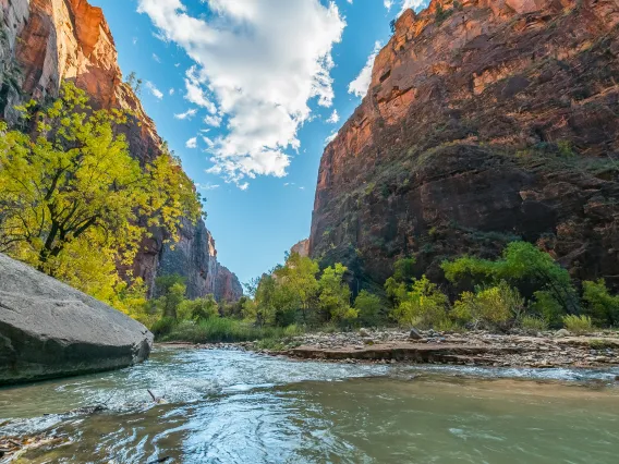 A view of the Colorado River from the bottom of the Grand Canyon.