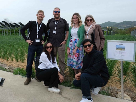 Six UArizona representatives pose in front of a field of solar panels in Daegu, South Korea.