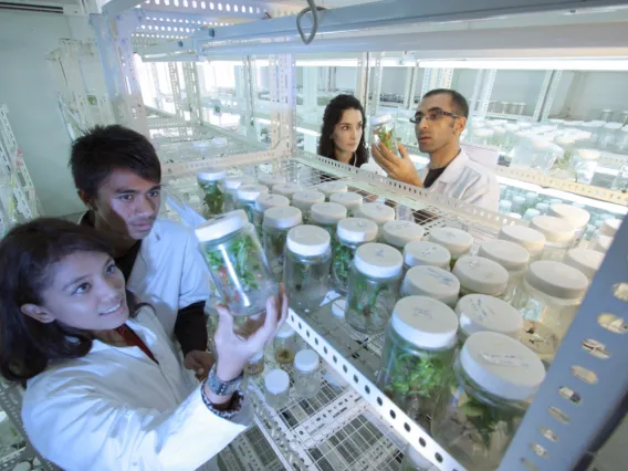 Four scientists in white lab coats stand around a shelf filled with glass jars containing plant material. The jars have white plastic lids. One female scientist in the foreground on the left side of the image holds up a jar to examine it as a male scientist looks on. On the other side of the shelf, a male scientist examines another jar as a female scientist looks on.