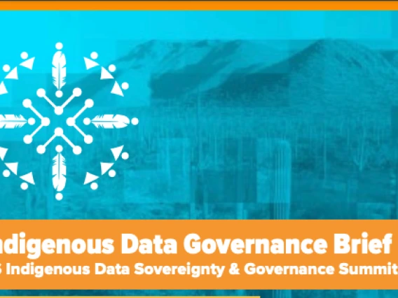 Screenshot of the hero image from the US Indigenous Data Governance Brief