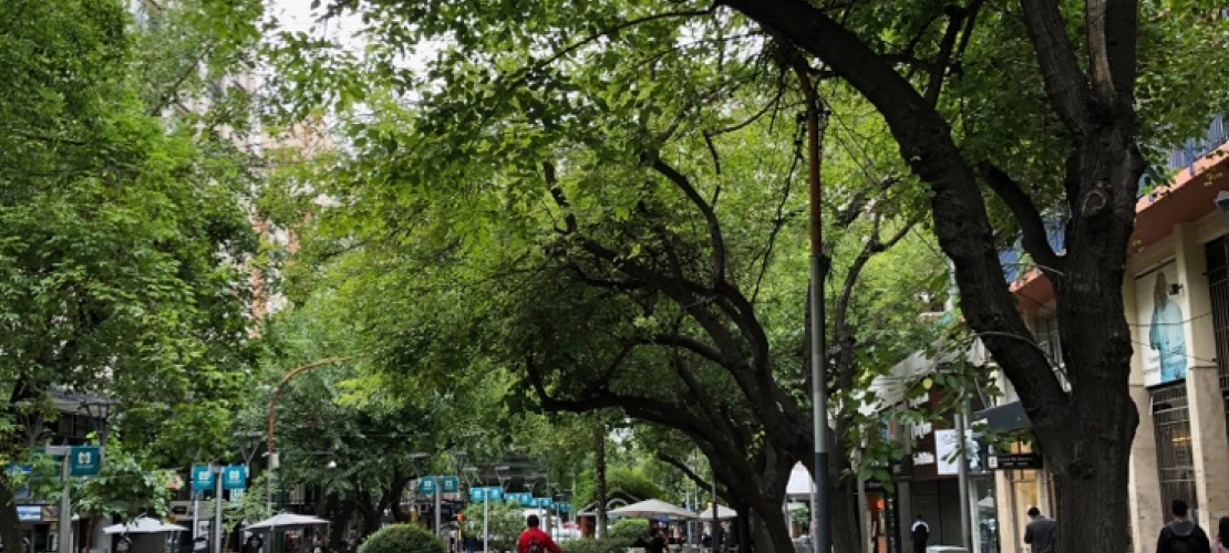 Calle Sarmiento, a pedestrian street in Mendoza, Argentina, with acequias – or canals – along the street irrigating trees