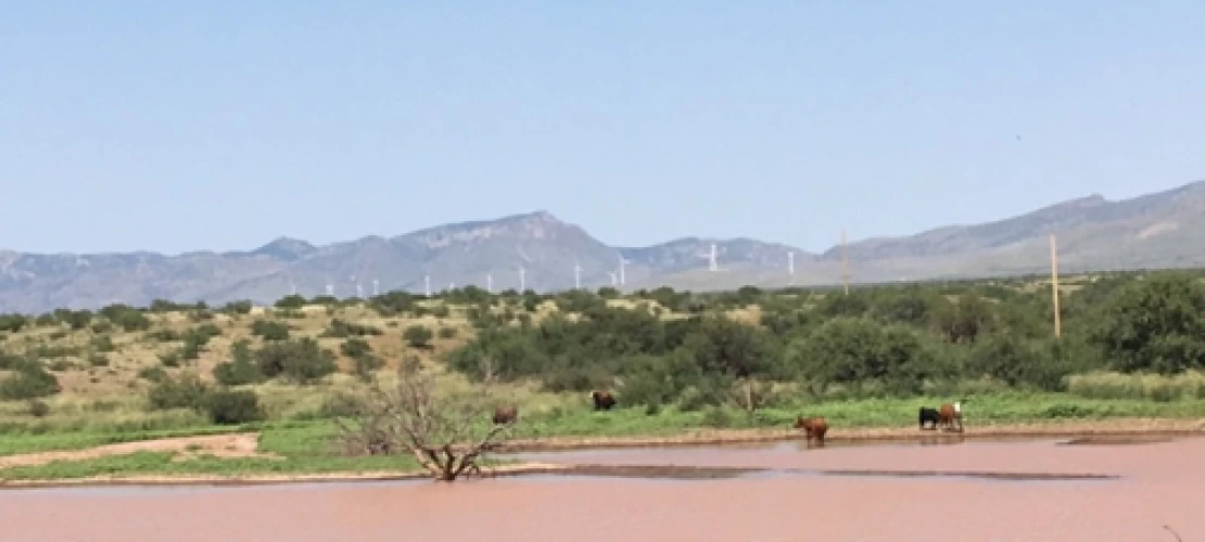 arid lands