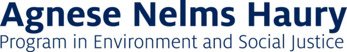 Agnese Nelms Haury logo