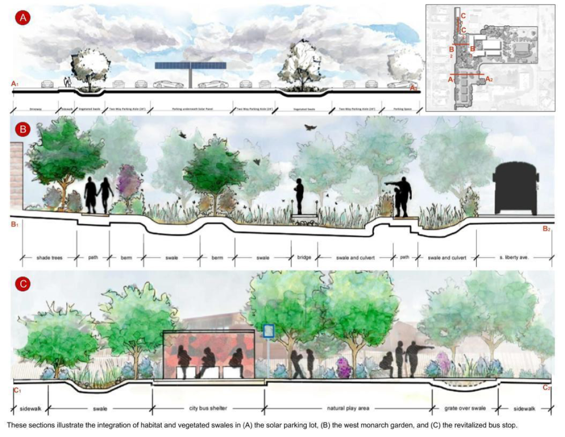 The sections shown above illustrate the integration of habitat and vegetated swales to reduce flood mitigation along the eastern portion of the site. Section (A) refers to the solar parking lot, Section (B) refers to monarch garden adjacent to the school main drop off school entrance and Section (C) refers to the revitalized bus stop.