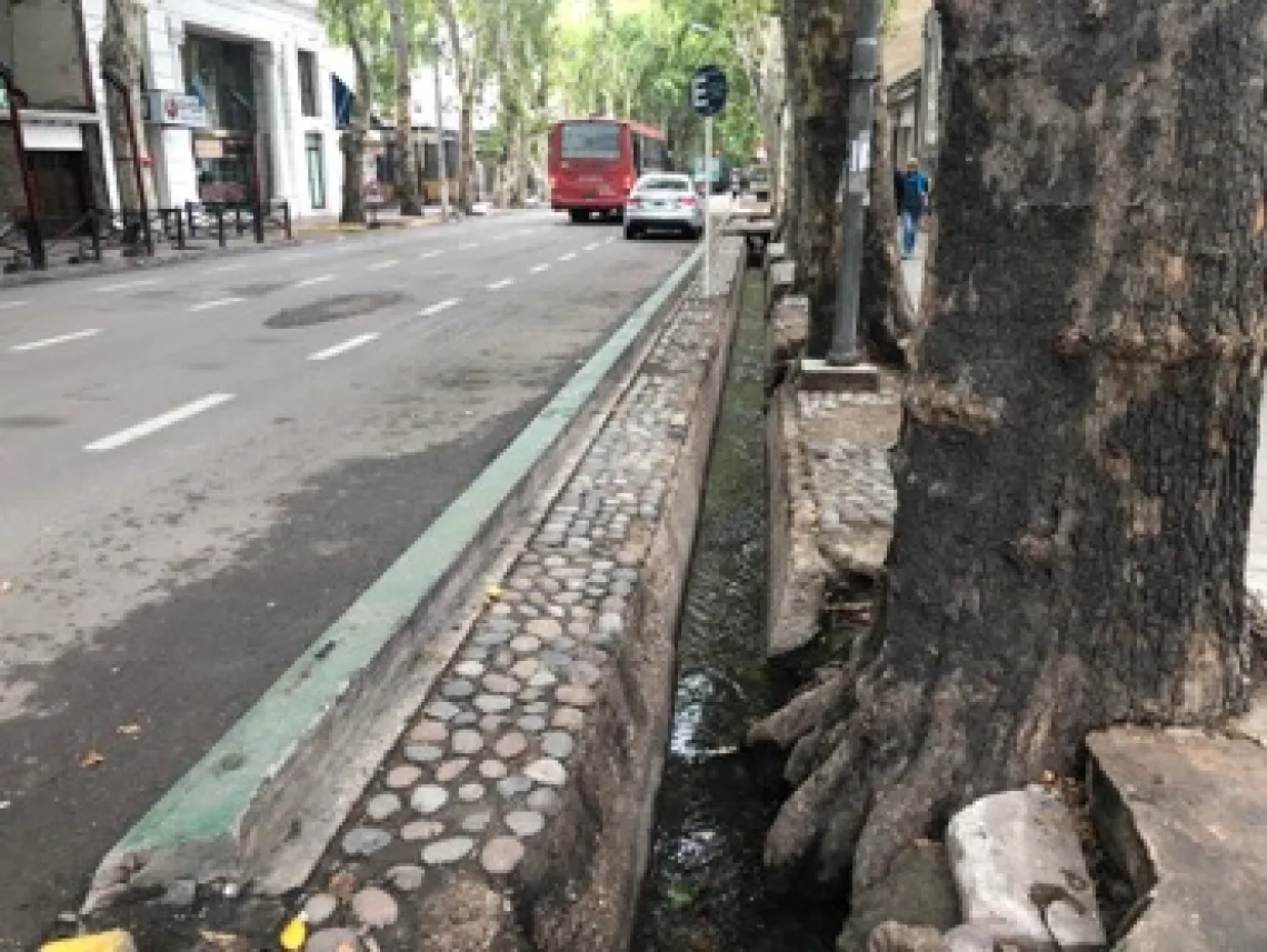 Acequia in Mendoza 