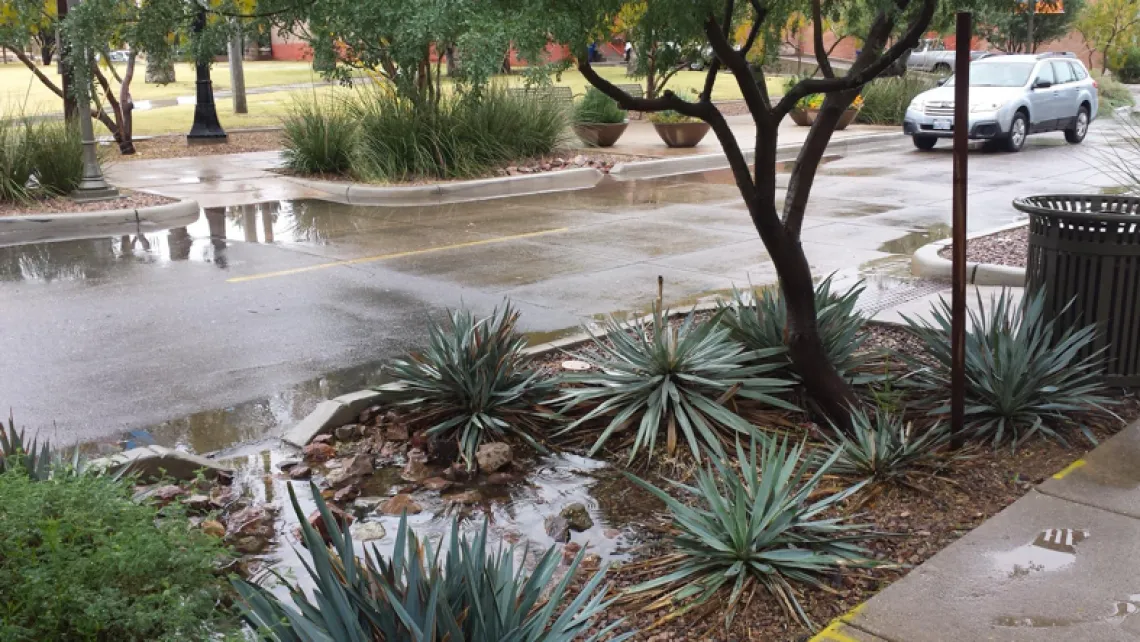 Figure 1. Green infrastructure uses natural landscapes to reduce flooding (Photo: Pima Association of Governments). 