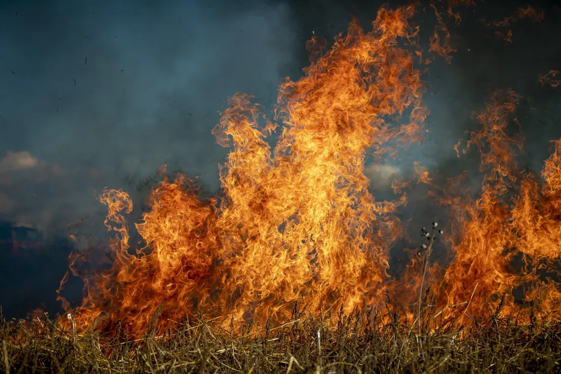 Fire burning in the mountains.