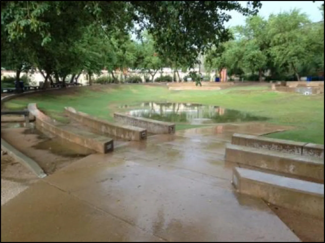 Green infrastructure at the University of Arizona main campus, where rainwater is infiltrated into the local aquifer, while providing greenspace for people and species.