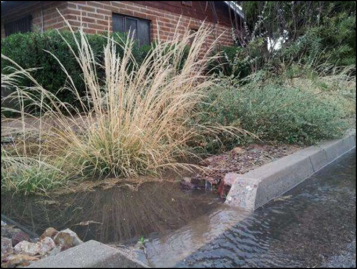 Green infrastructure combines curb cuts, slope, and swales to direct rainwater to small basins infiltration areas (Photo from Conserve2Enhance).