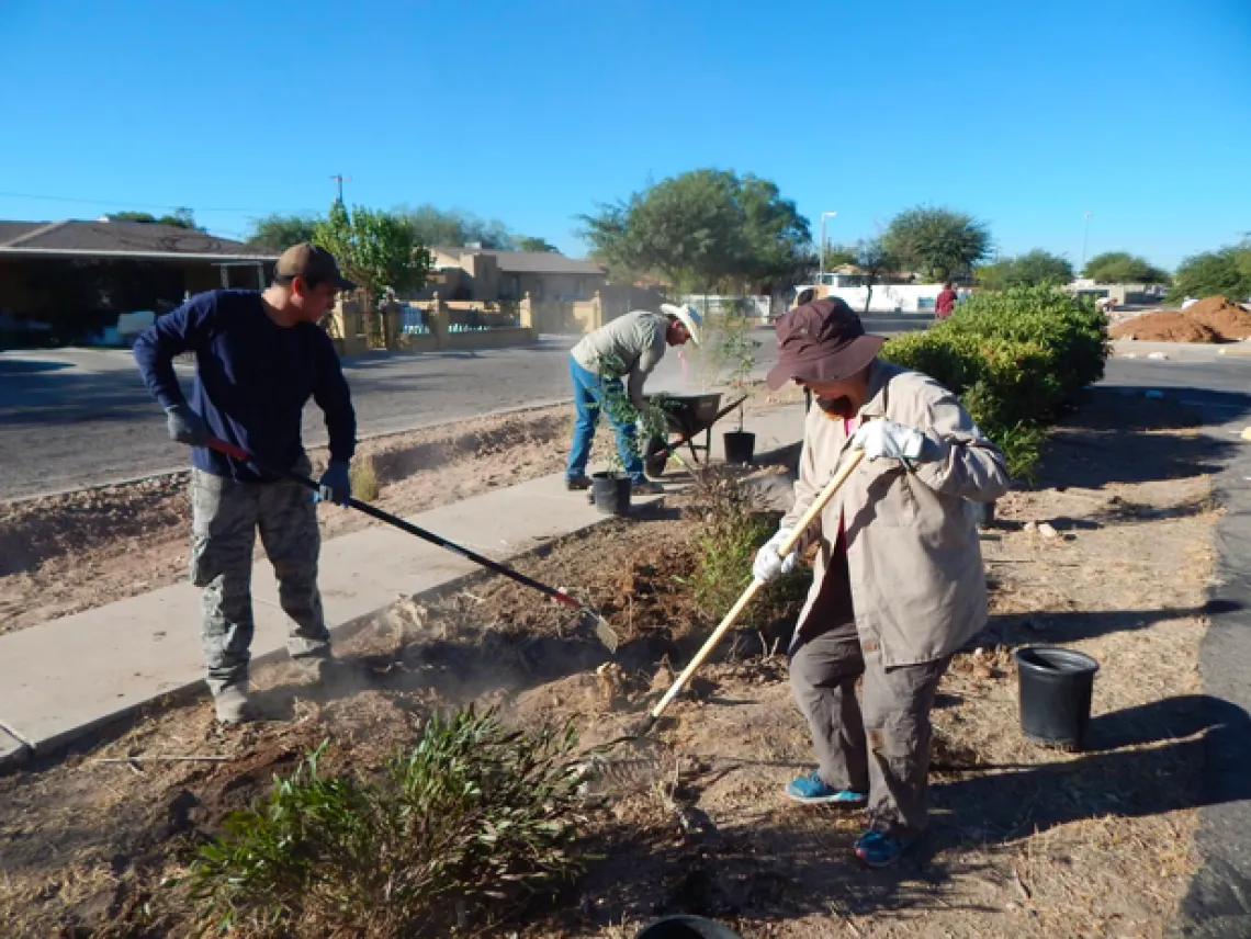 Implementation of green infrastructure (photo: J. Murrieta).