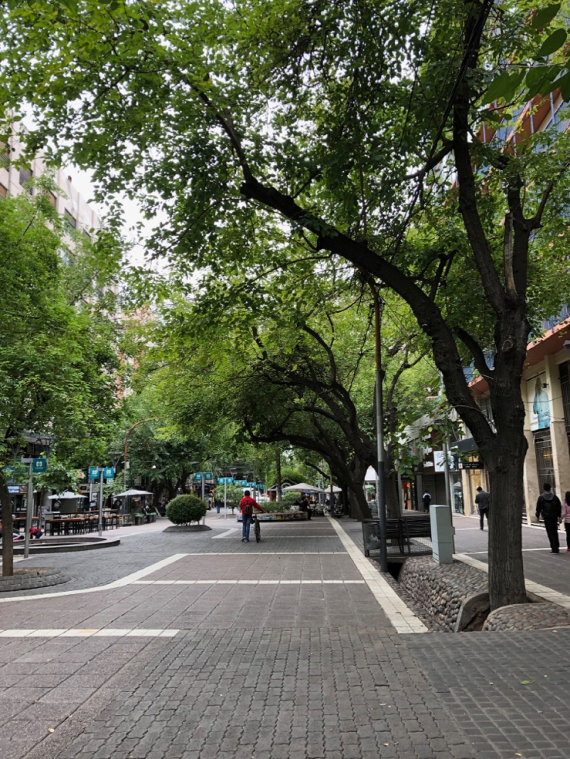 Calle Sarmiento, a pedestrian street in Mendoza, Argentina, with acequias – or canals – along the street irrigating trees