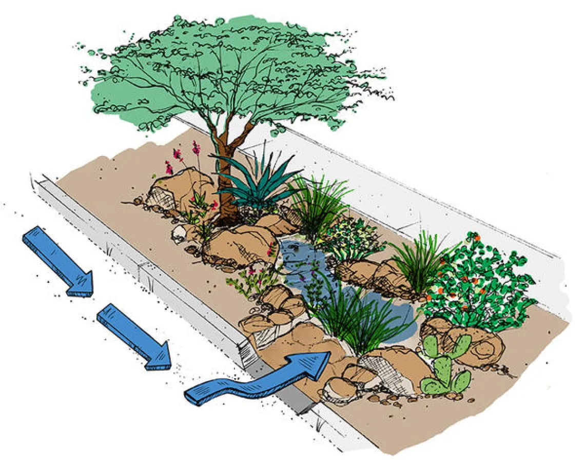 An illustration of green stormwater infrastructure collecting rainwater into a basin.