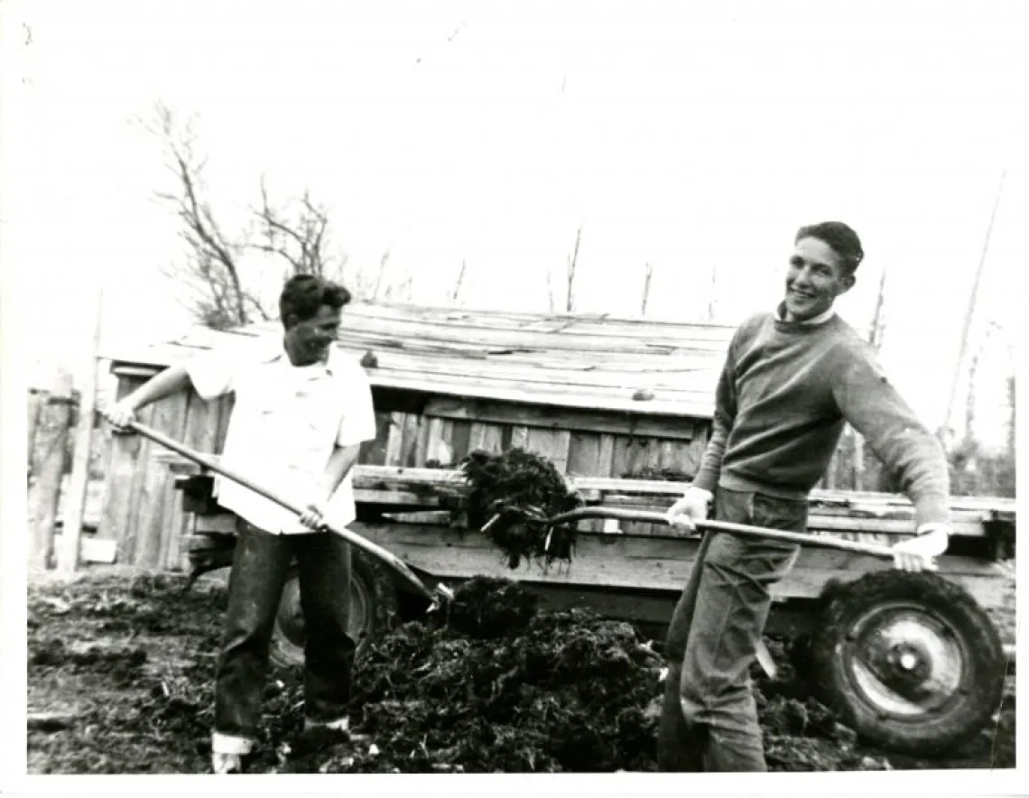 Greyscale photograph of two young men shoveling mulch into a trailer in front of an old building.