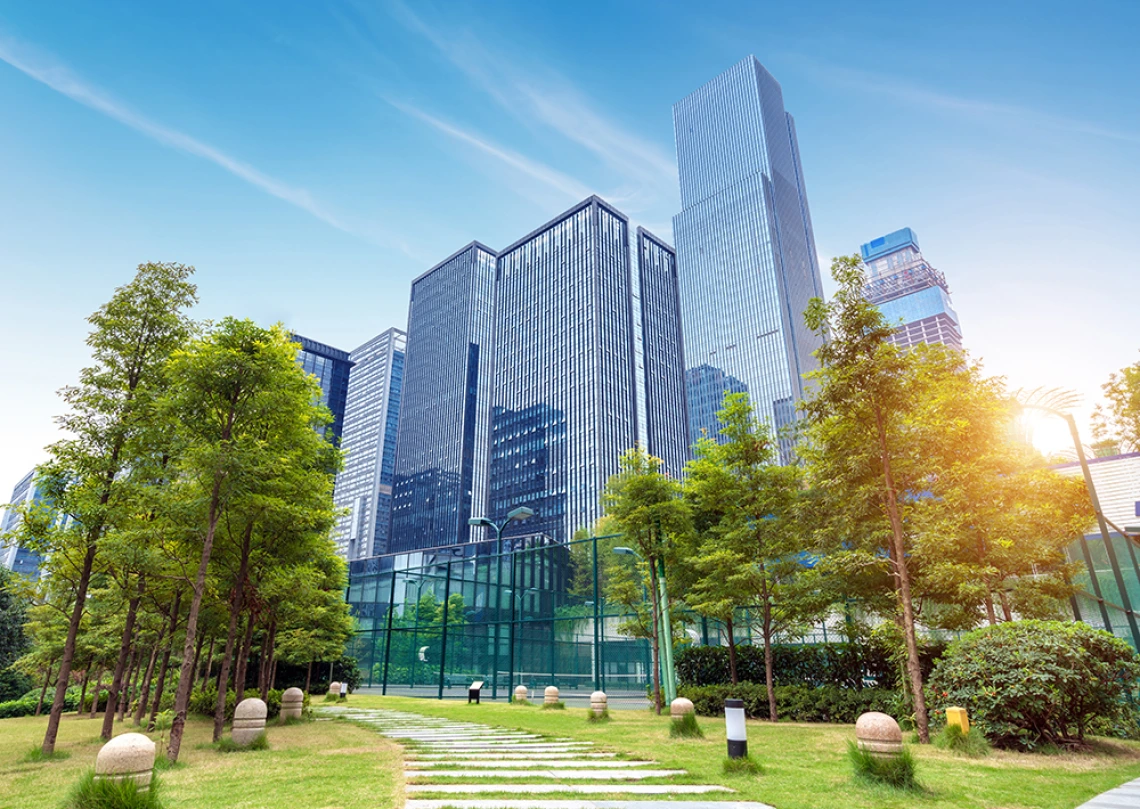 tall buildings rise behind an urban green space