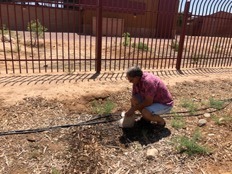 Joaquin Murrieta of Tucson’s Watershed Management Group examines a leaking hose that was bitten by an animal. Repairs like this will be made at a fall 2019 work event at Star Academic High School.