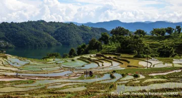 Tiered farmland flooded with water in the Himalayan Mountains.