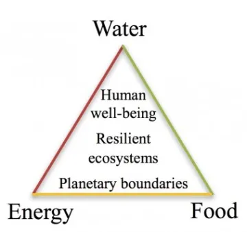 Water-Energy-Food Nexus